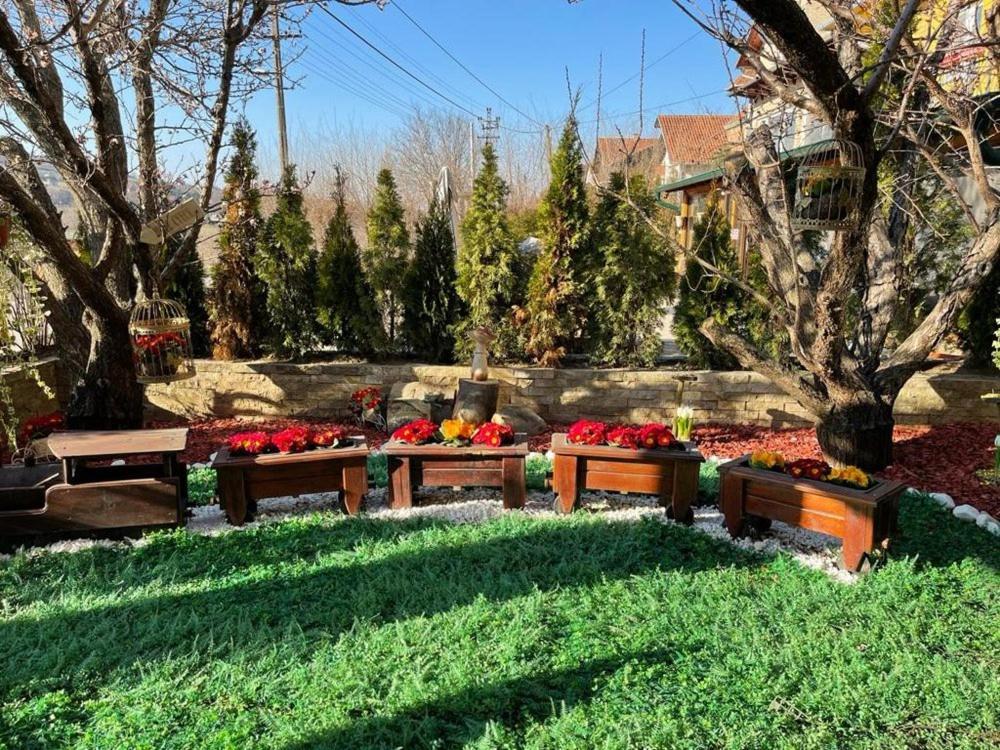 Vila Prezident Karlofça Dış mekan fotoğraf