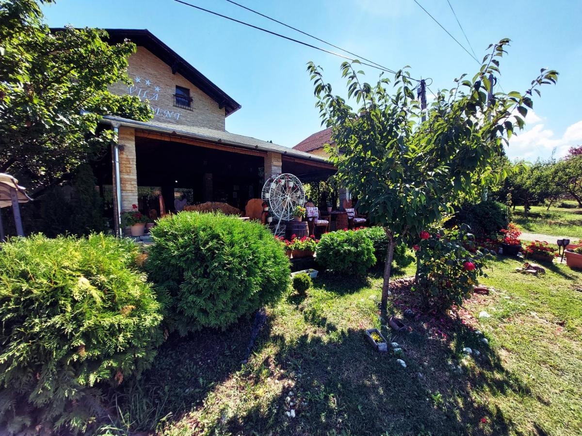Vila Prezident Karlofça Dış mekan fotoğraf